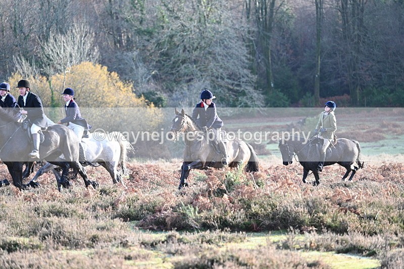 WJ7_7919 - Line 3 (no line 4 or 5)