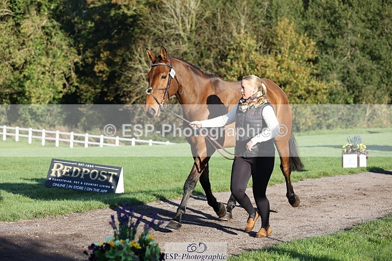 241027-085105-14850 - 359- Harriet Birkby- CBH CLOVER LINING