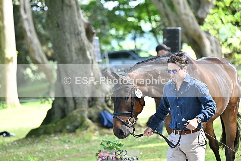 250521A-153356-00593 - B-317-Rupert.Batting-COOMBELAND.TALISMAN