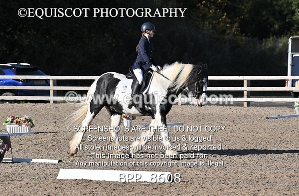 BPP_8608 - SHORT ARENA