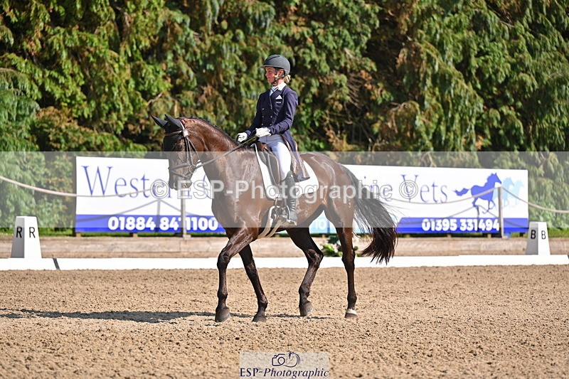 250523A-163832-08117 - B-379-Kelli.Frewin-HIDDEN.GOLD