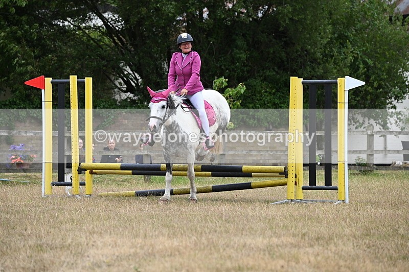 WJ6_0101 - Class 13 Novice Jumping 60cm