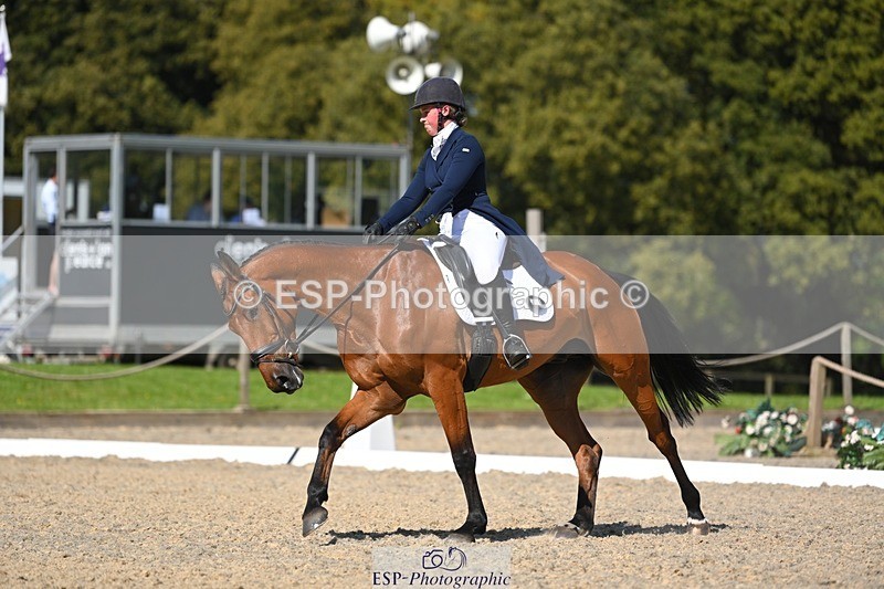 230526-160638-07269 - 253-MY_EASTWOOD_BRIGHTSIDE-Darcy_Zander-WEDTrotUp+DR