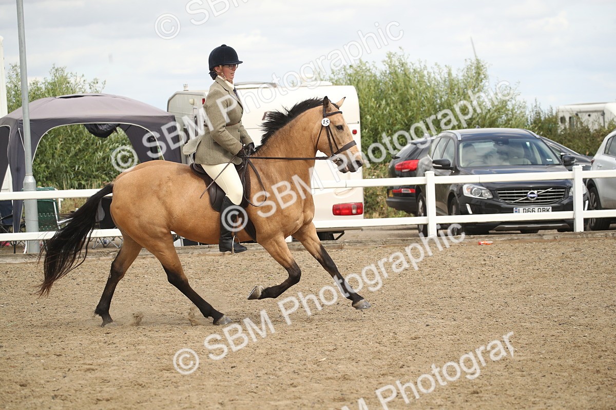SBM_16604 - Class 507a - Working Veteran - 60cm (15-19)