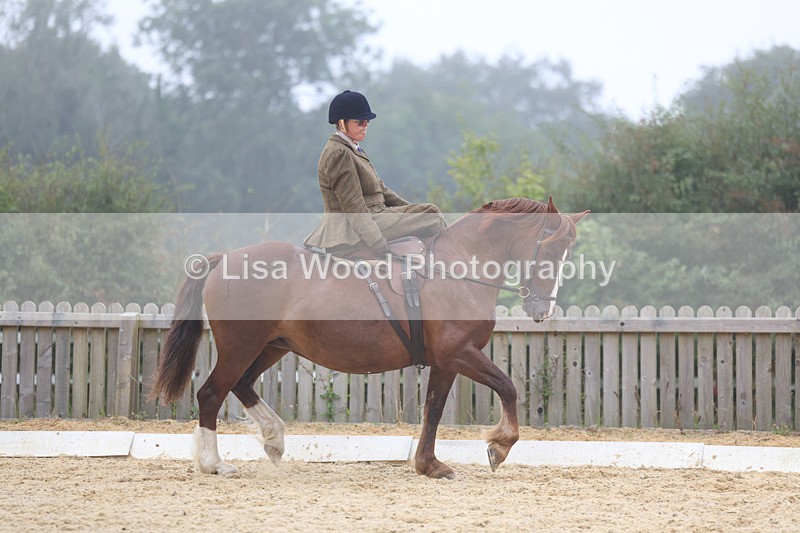 3E7A6870 - Class 5: Prelim to Music