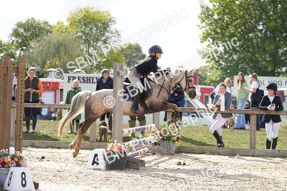 SBM_48553 - J7 - Junior Pony 60cm Championship