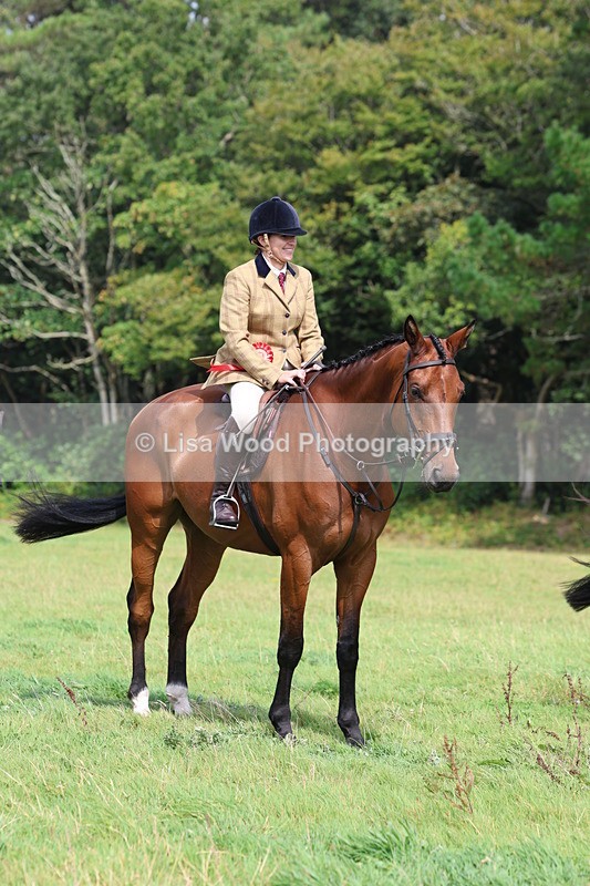 3E7A5930 - Class 26 and 27: 70cm Working Hunter