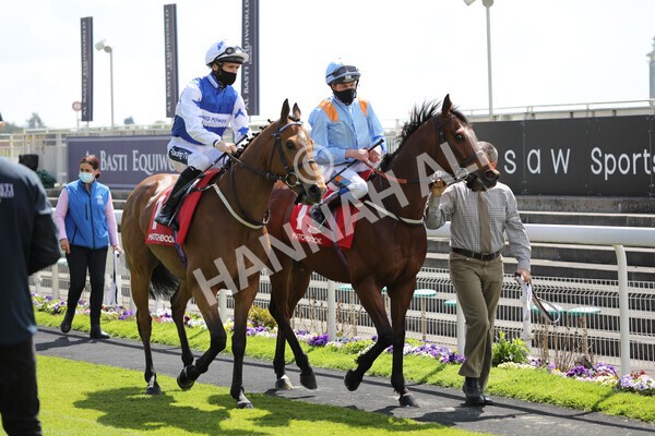 yr13052021r1-15 - Race 1 1.40pm The Matchbook Betting Exchange Stakes