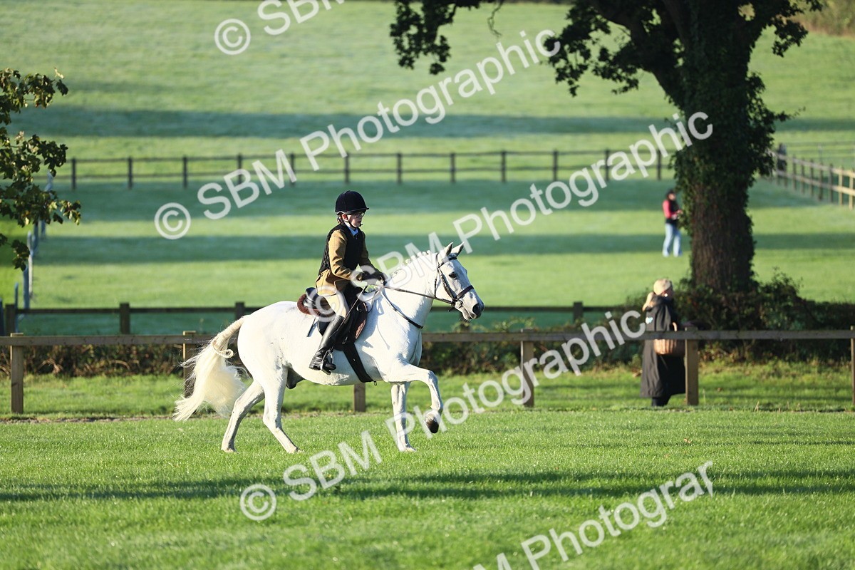SBM_31718 - S28 - Nursery Stakes Working Hunter Pony