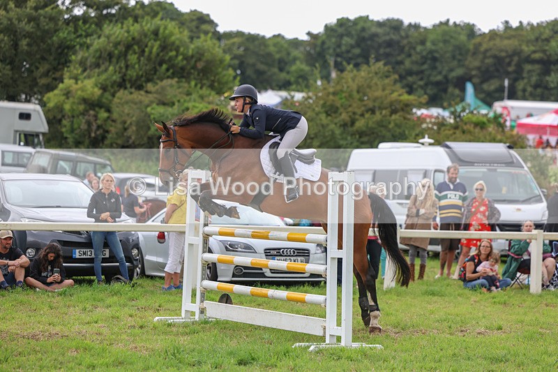 3E7A8225 - Class 7: Senior Newcomers/1.10m open