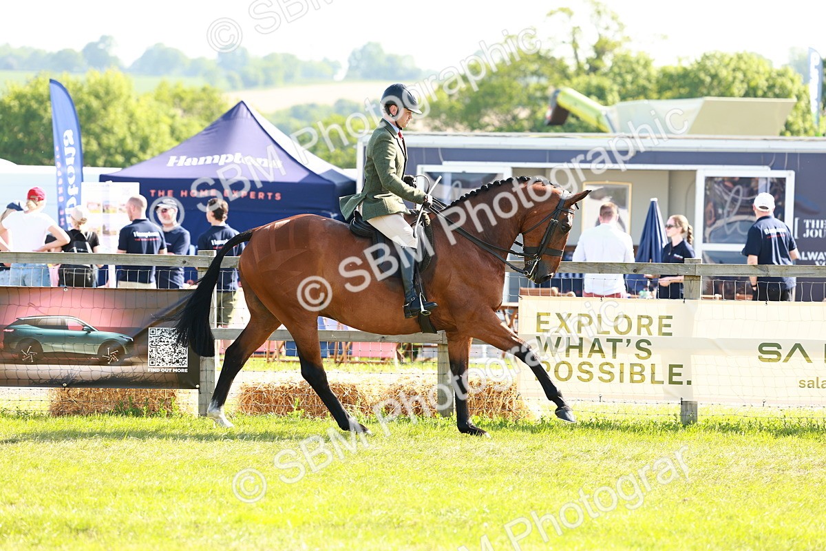 SBM_11908 - Class 66-69 - RIHS Ridden Hunters Inc Small Hunter