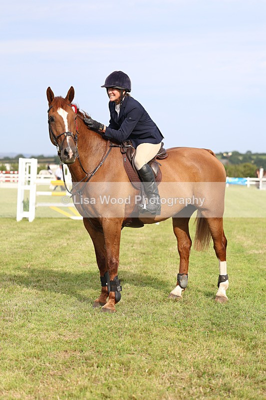 3E7A0889 - Class C: Showjumping Senior Foxhunter