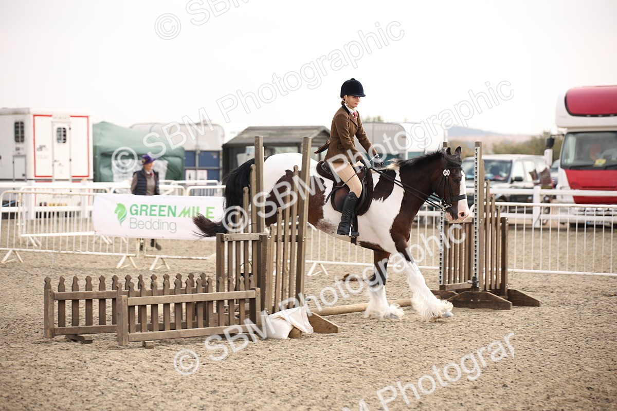 SBM_11671 - Class 404b Junior Working Veteran- 40cm(20+)