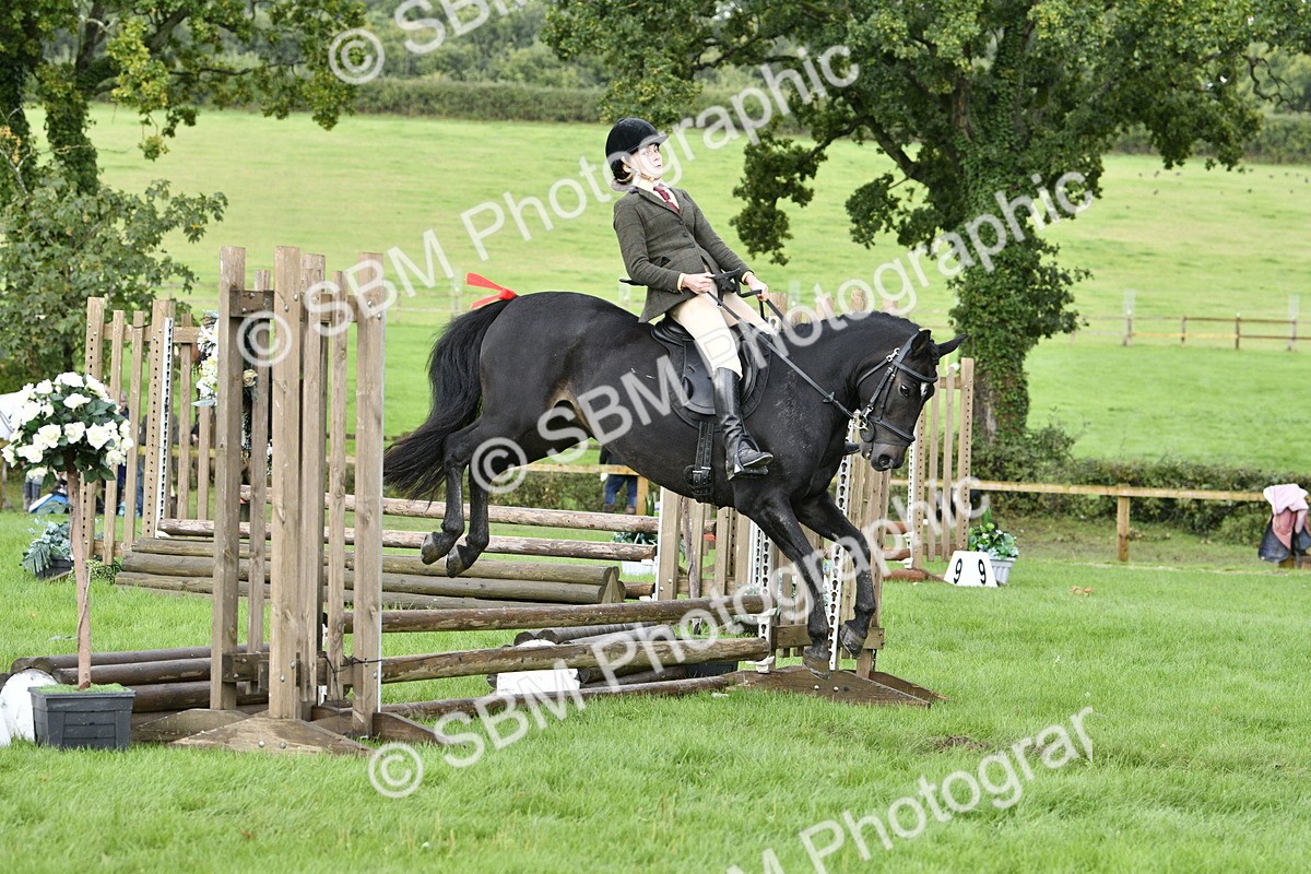 SBM_41511 - S32 - Mountain & Moorland Working Hunter Pony