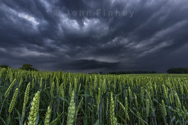 North Yorkshire Supercell over Wheat Crops - Yorkshire Dales & Yorkshire