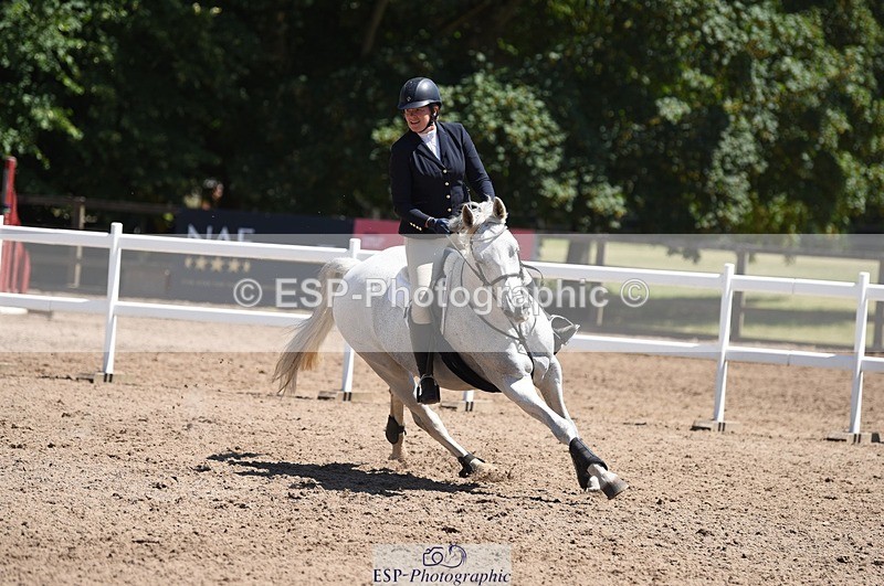 230707-125242-06928 - Cls 20 British Novice & 90cm Open