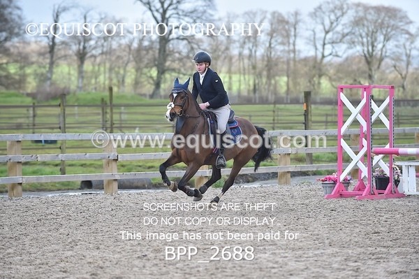 BPP_2688 - CLASS 29 STX-UK Pony BritiNovice / 0.80m Open