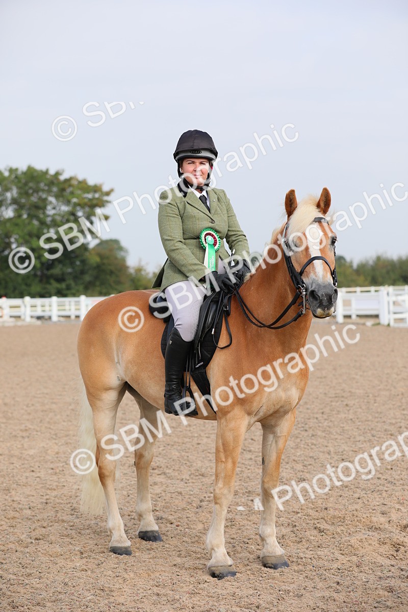 SBM_10738 - Class 303 Ridden Pure Bred Horse/Pony (excl M&M)