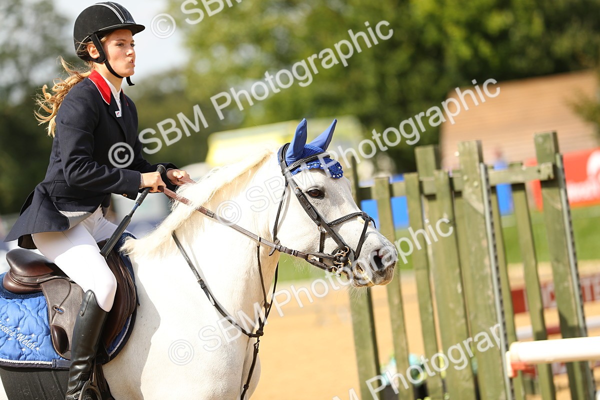 SBM_67291 - J17 - Junior Pony 80cm Championship
