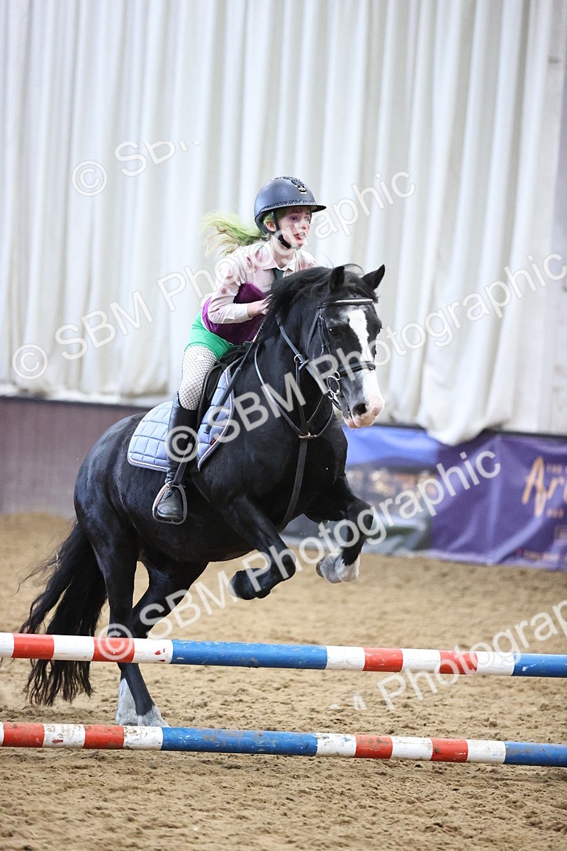SBM_001642 - Class 3 - Horse & Hound 60cm