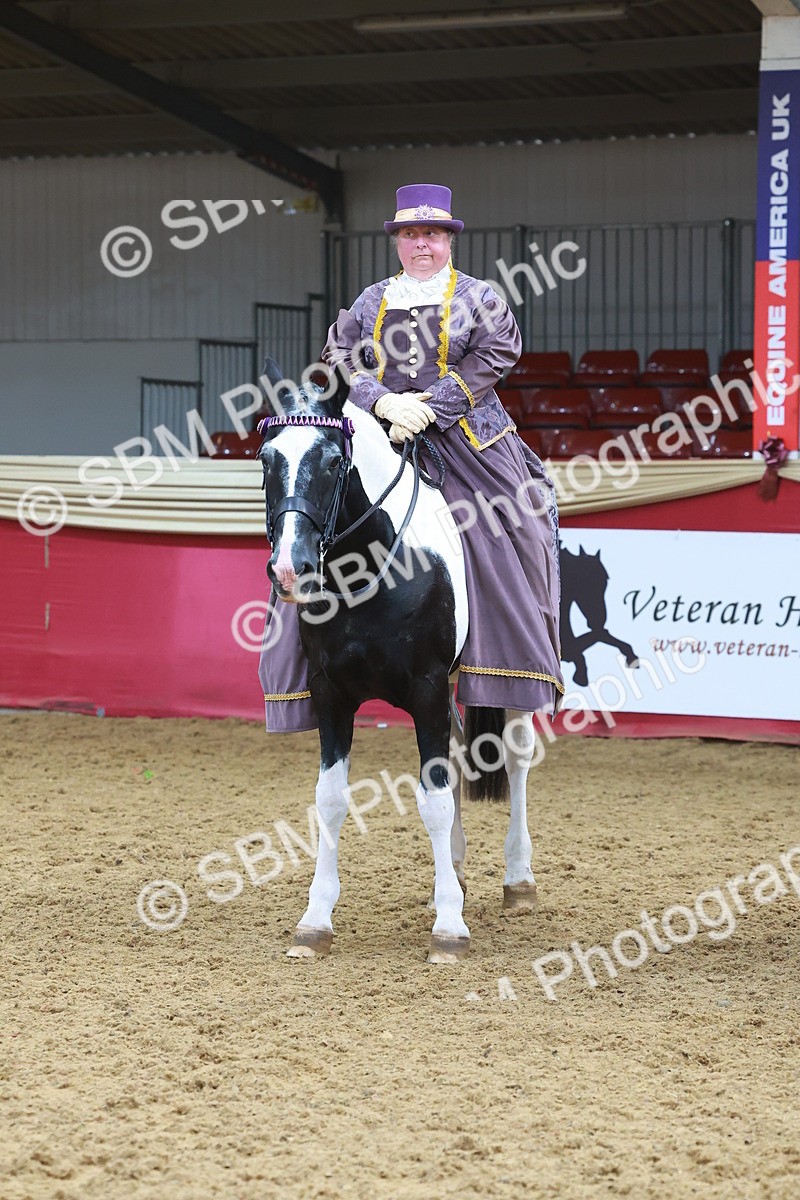 SBM_14840 - Class 108 - Ridden Costume - Astride Adult (20+)