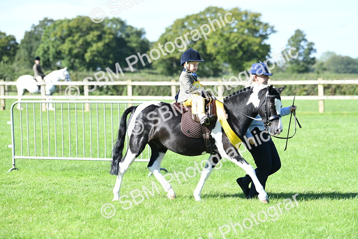 SBM_37104 - S18 - Novice & Newcomers Lead Rein Pony