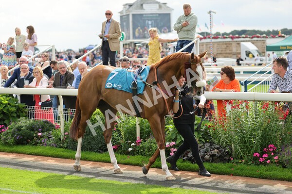 yr04092022r3-2 - Race 3 2.55pm The Elevator Company Garrowby Stakes