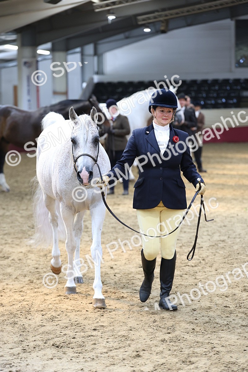 SBM_23378 - Class 903 - Supreme Final - IH Pre Vet