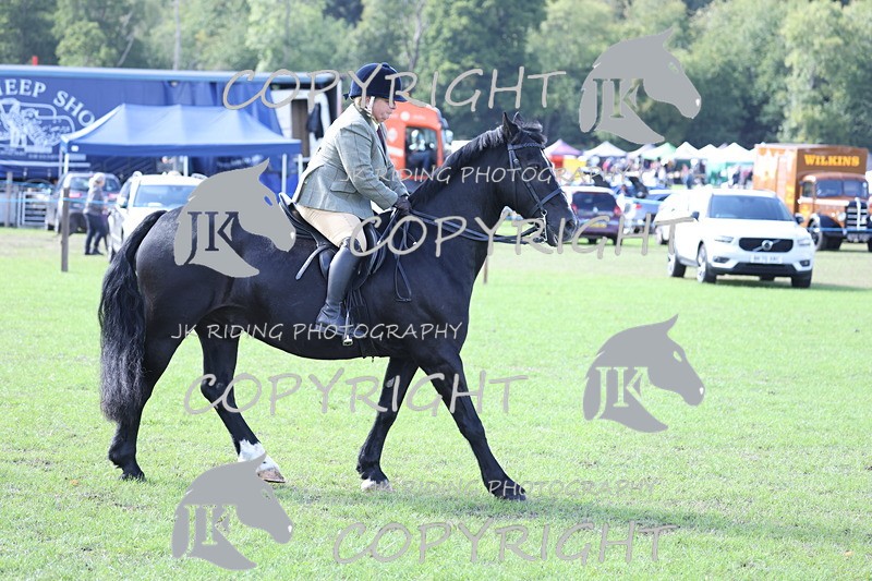 APP_3745 - Class 12 M&M ridden