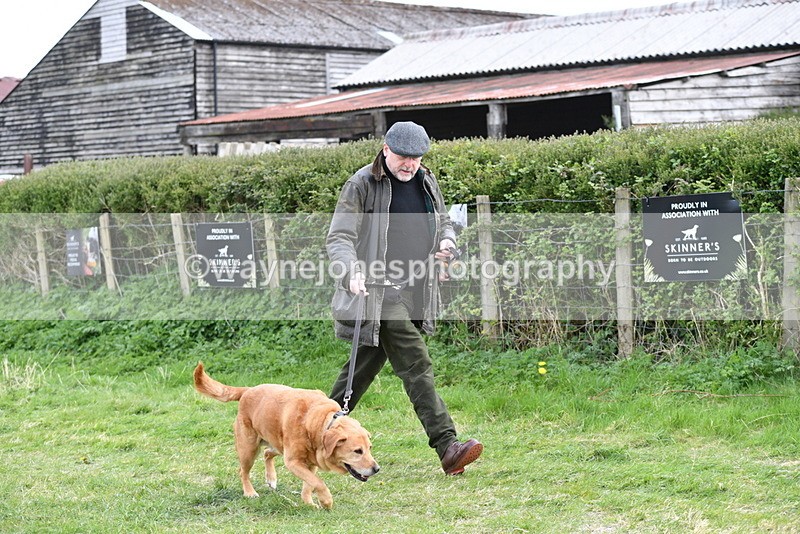 WJ5_0019 - Class 5 Best Veteran / 7 years & over