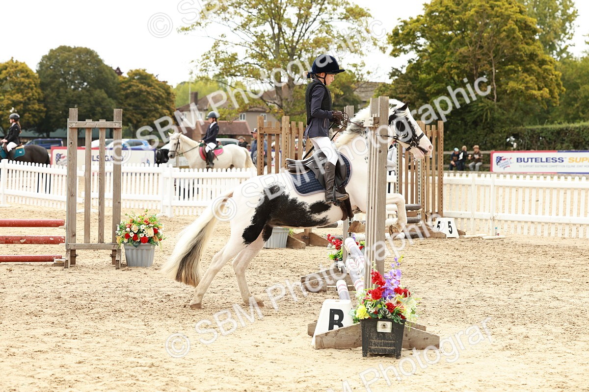 SBM_62130 - J12 - Junior Pony 55cm Championship