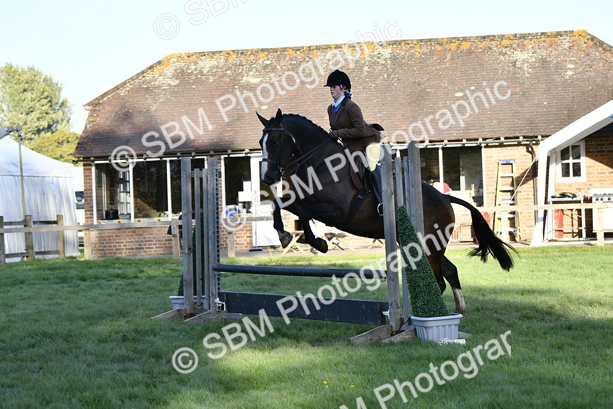 SBM_53567 - S14 - Riding Club Horse