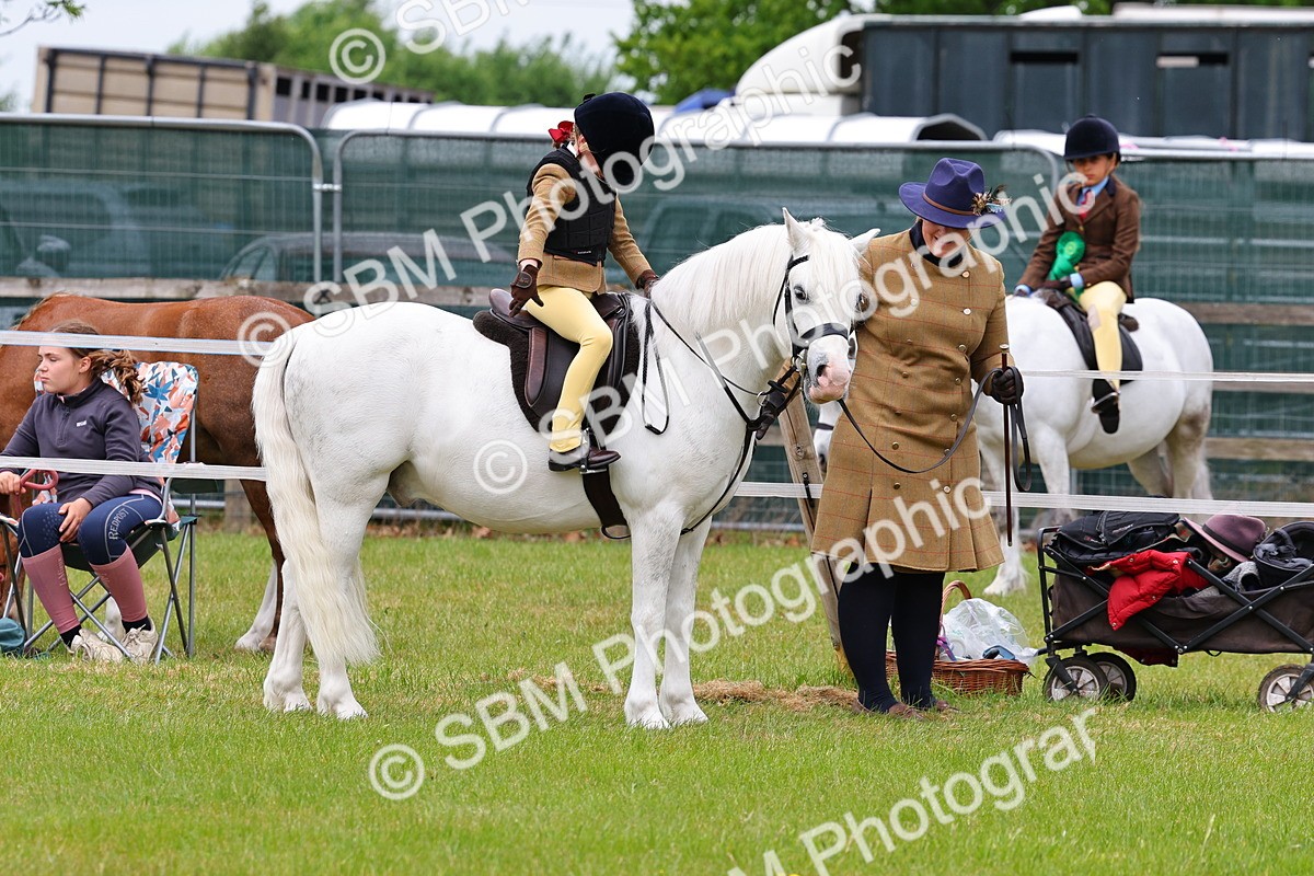 SBM_08199 - Class 42-43 - LIHS BSPS Heritage Working Sports Pony