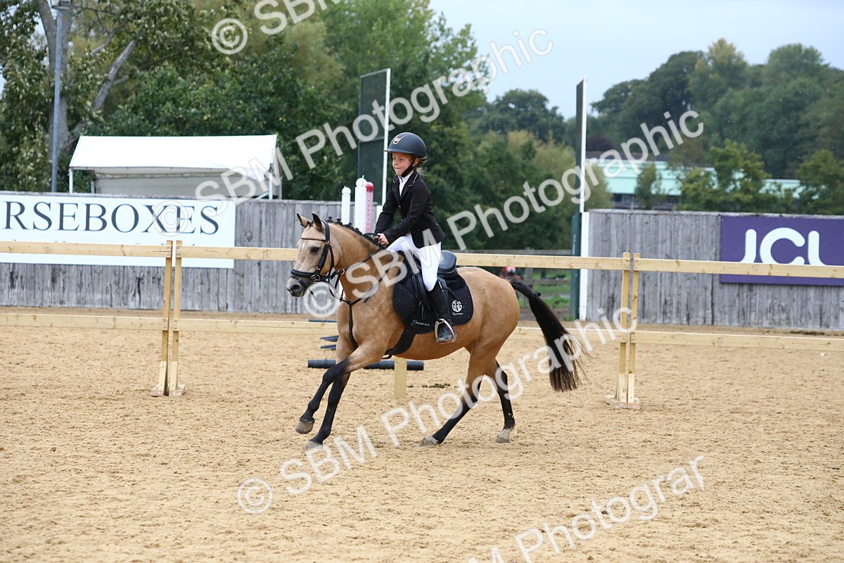 SBM_68402 - J3b - Mini Tour Junior Pony 40cm Championship