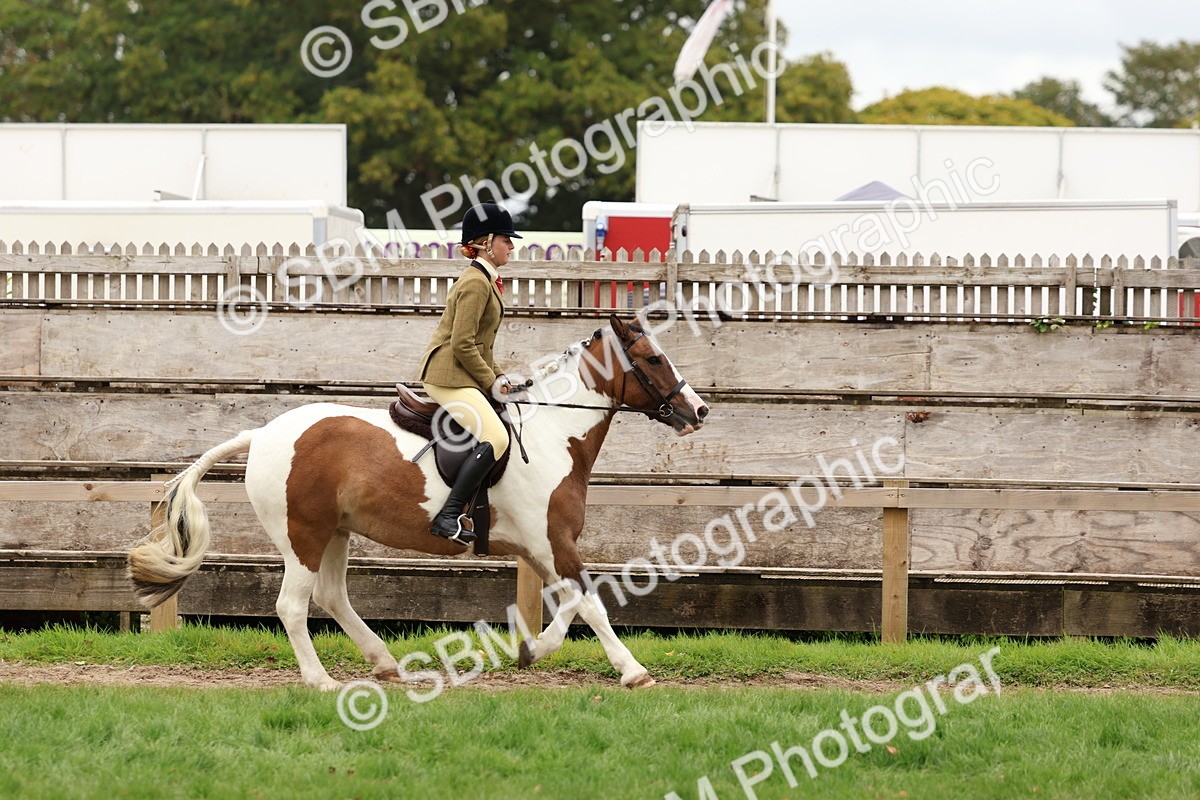 SBM_64555 - S58 - Coloured Pony Ridden