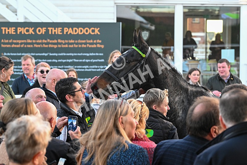 291024-Race 7-Crocodile Power-6618 - Race 7