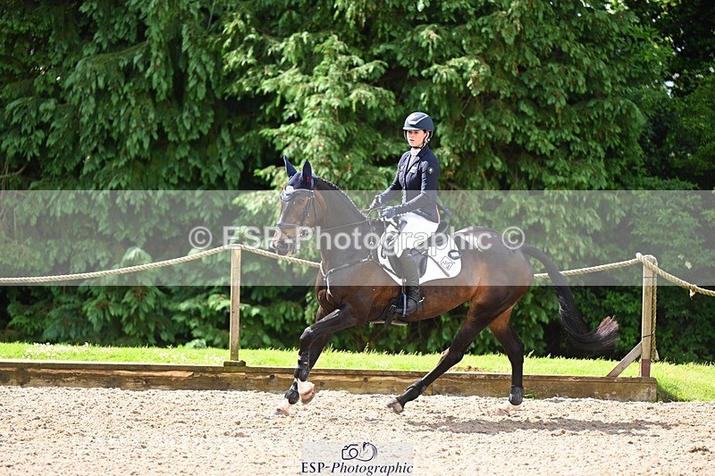 240526-104817-20167 - 372-PENCOS_CROWN_JEWEL-Millie_Juleff