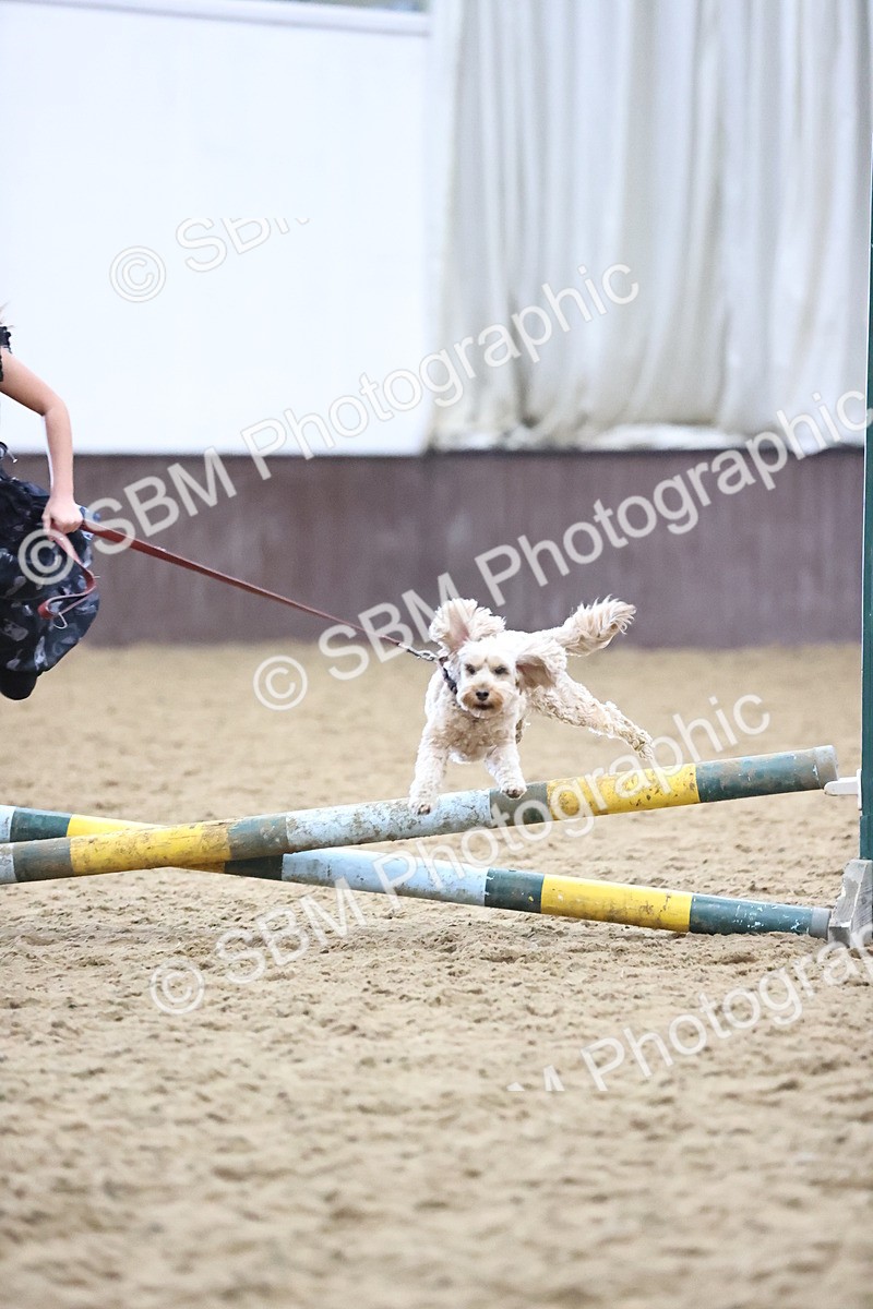 SBM_001632 - Class 3 - Horse & Hound 60cm