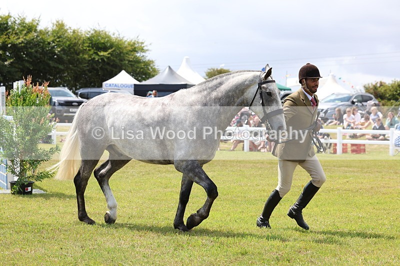 3E7A2195 - Class 10: Open Cob