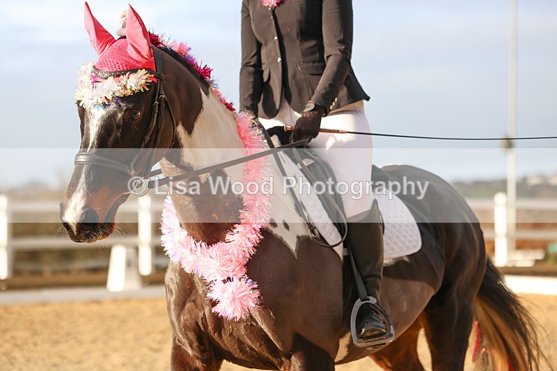 3E7A4531 - Class 4: Prelim Section B