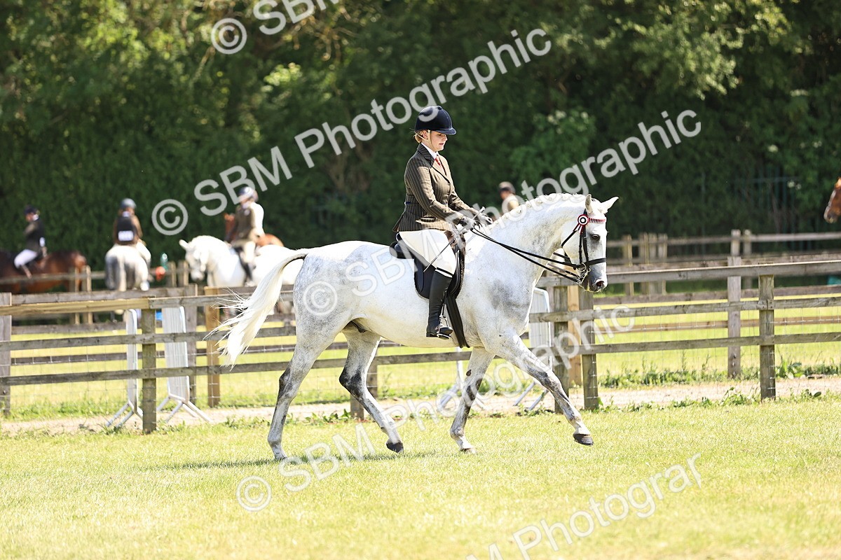 SBM_18024 - Class 81-83 - TSR Ridden Amateur of the Year - Horses