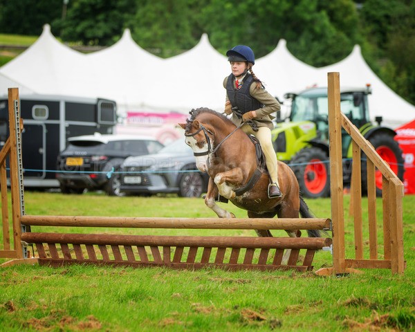 Dunblane show-11 - Dunblane and Doune Show Ring 1