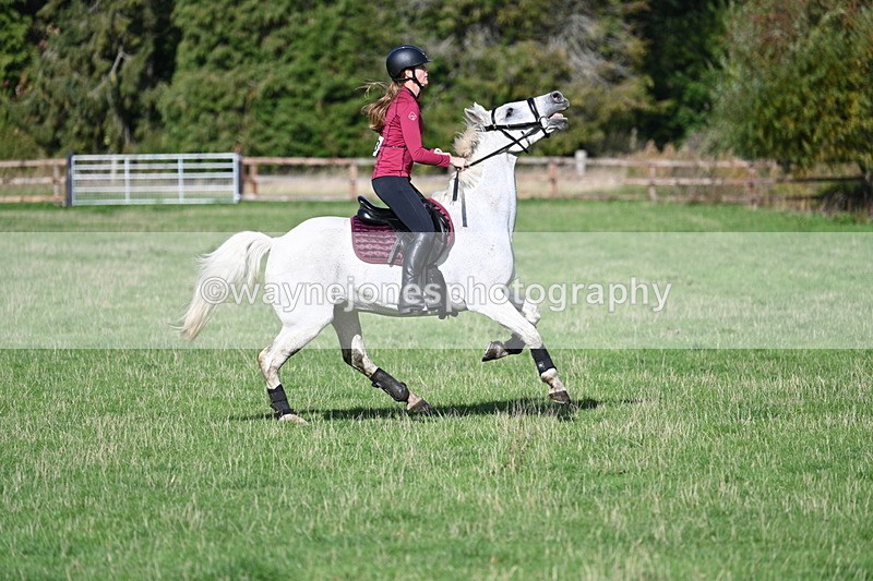 WJ7_8136 - Time 11:40 to 12:12