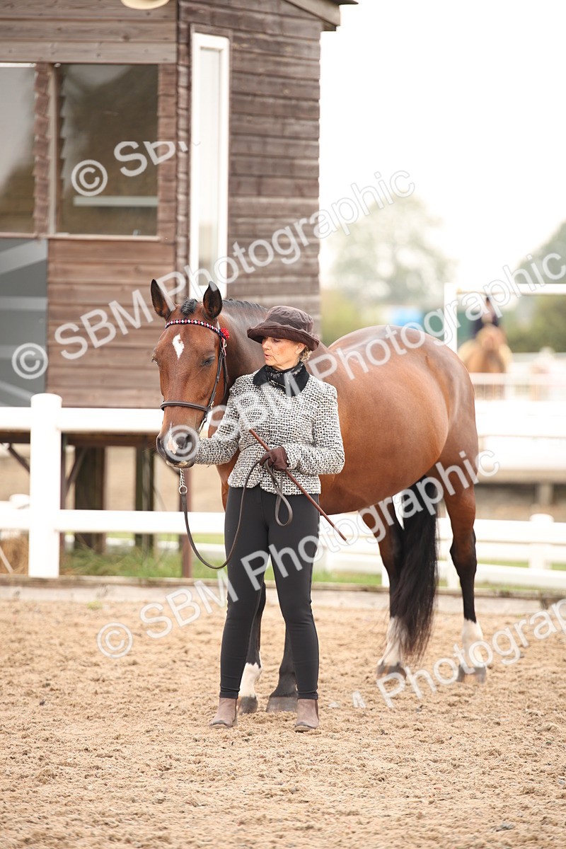 SBM_22148 - Class 707 - Ridden Groom-Helpers Class