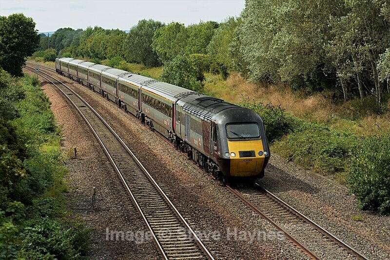15th Aug 2019 - Taunton, Somerset