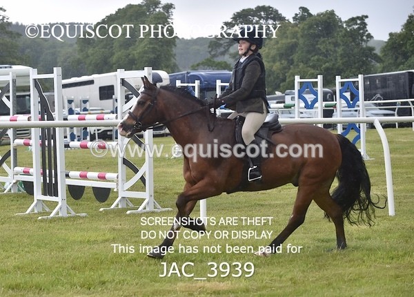 JAC_3939 - 55cm WORKING HUNTER