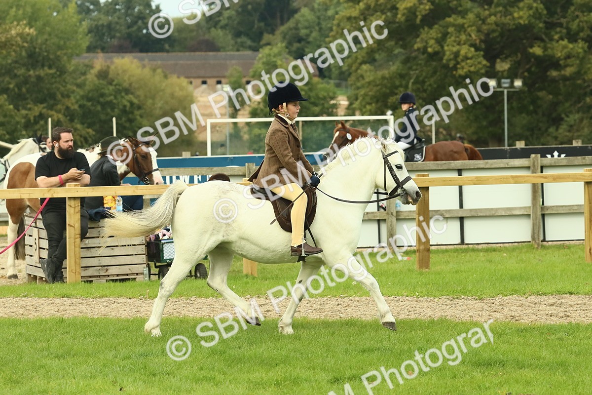 SBM_69929 - S59 - Mountain & Moorland Ridden Small Breeds