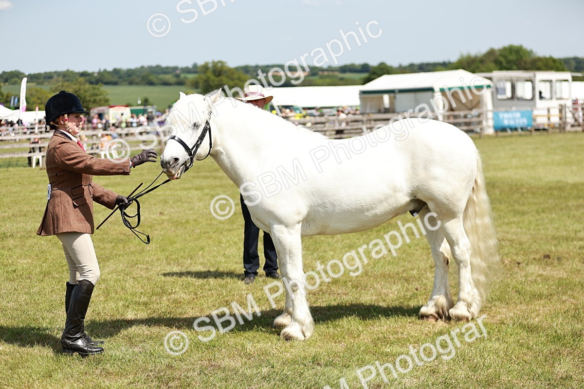 SBM_07141 - Class 26-30 - Mountain and Moorland Ridden