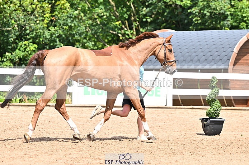 240718A-105303-01490 - Trot Up 12pm to 1pm