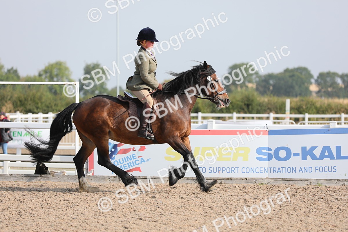 SBM_10919 - Class 304 Ridden Part Bred Horse/Pony